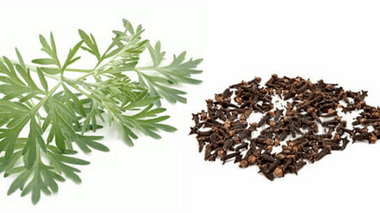 Nelken και Wormwood για να αφαιρέσουν τα παράσιτα από το σώμα