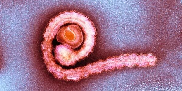 Νάνος ταινία στο ανθρώπινο σώμα