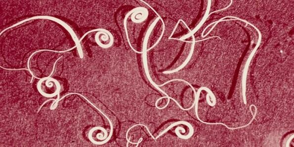 Φωτογραφία από ανθρώπινα παράσιτα